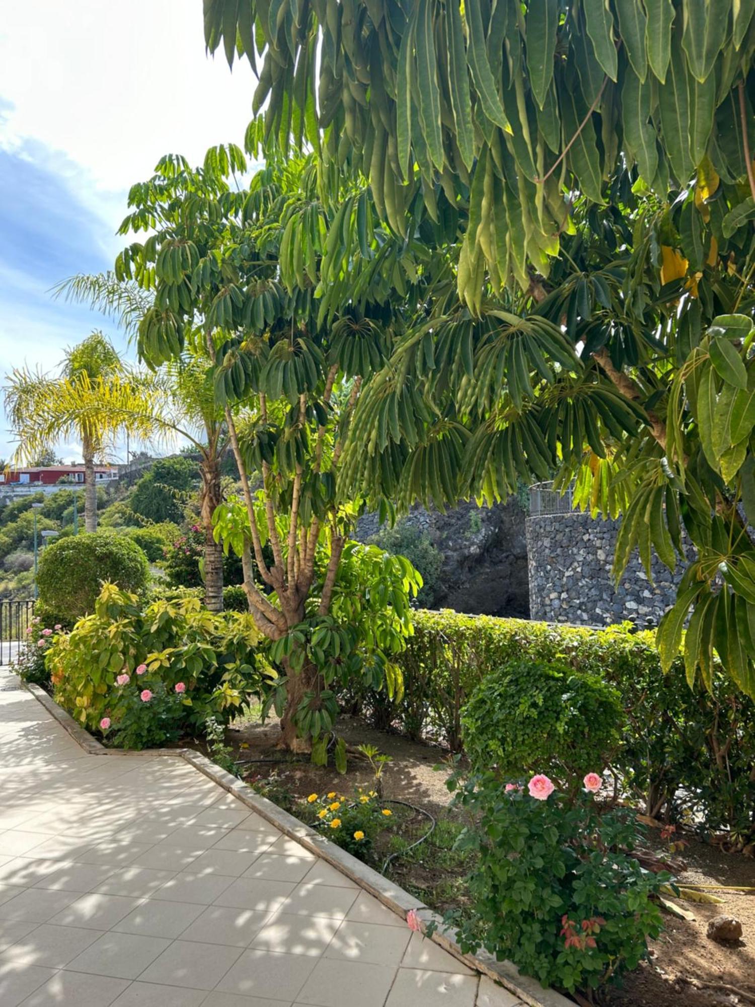 Hermosa Vista Puerto de la Cruz  Extérieur photo